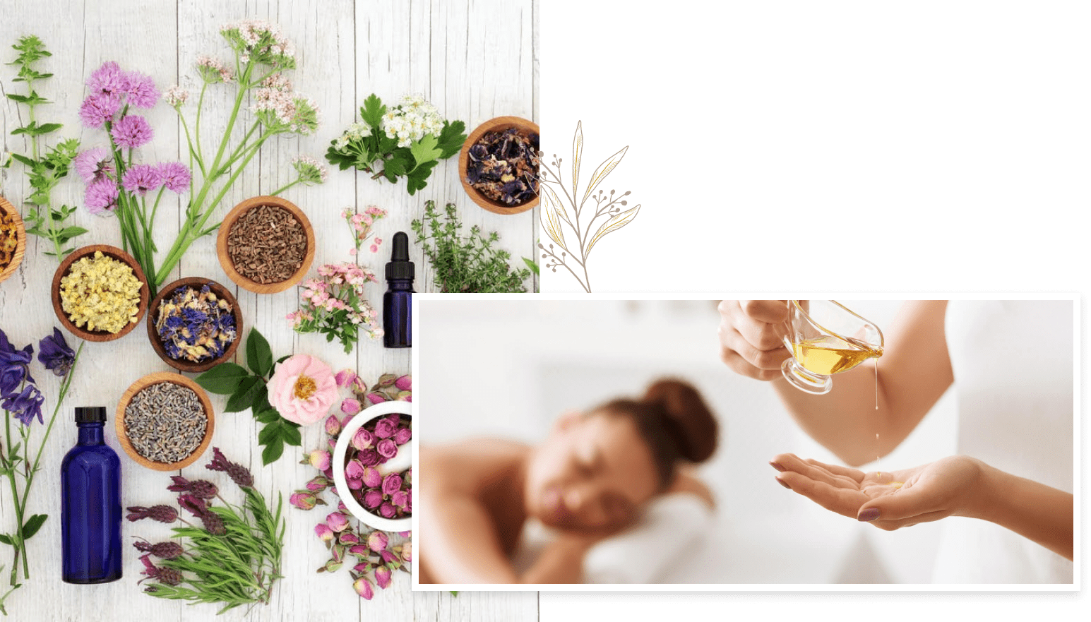 Aromatherapy Massage Spa & Massage Five Massage Clinics in Central