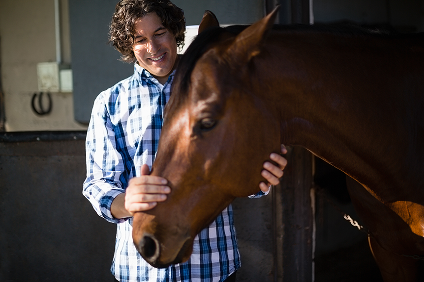 Therapist learning to perform sports massage on a horse